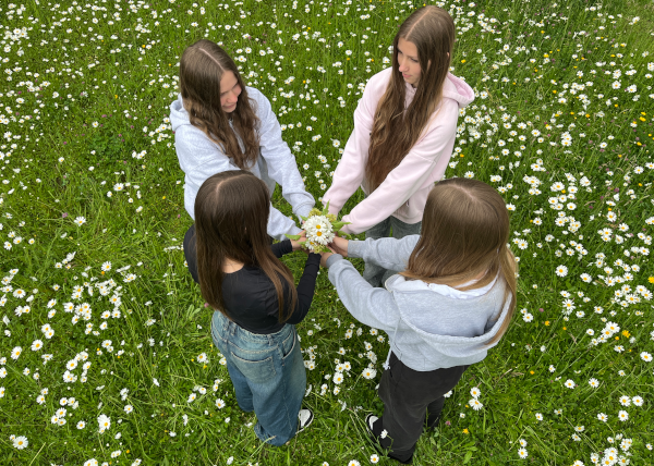 Projekt - „zusammenWACHSEN“